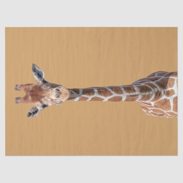 Cute giraffe face tissue paper (Front)