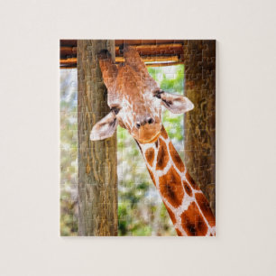 Cute Giraffe Jigsaw Puzzle