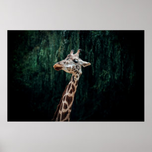 CUTE GIRAFFE PORTRAIT POSTER