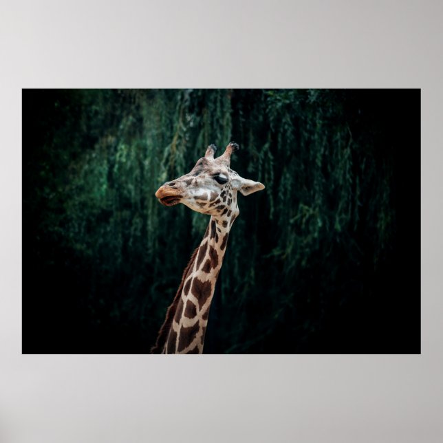 CUTE GIRAFFE PORTRAIT POSTER (Front)