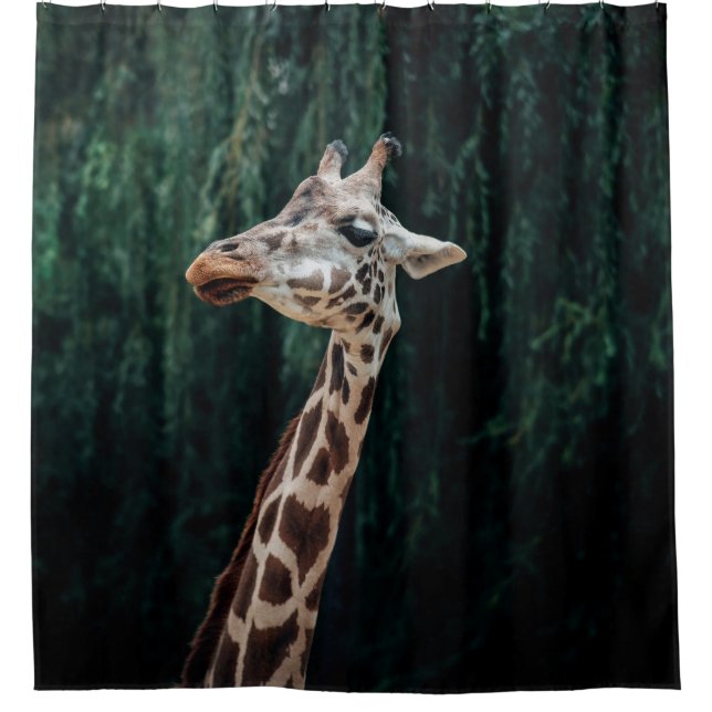 CUTE GIRAFFE PORTRAIT SHOWER CURTAIN (Front)