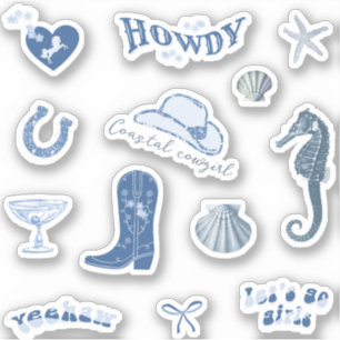 Cute Girly Blue Coastal Cowgirl Aesthetic 