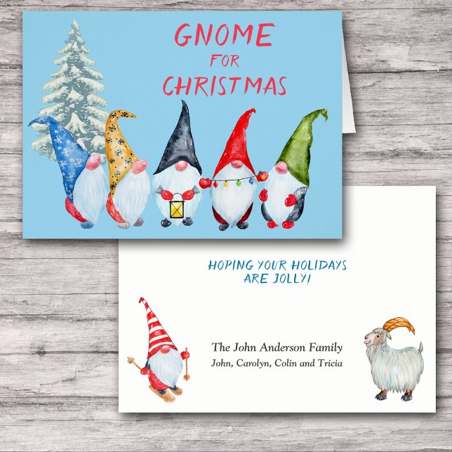 Cute Gnome for Christmas Card (Creator Uploaded)