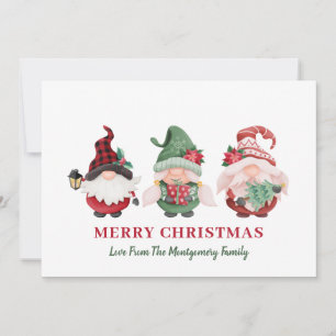 Cute Gnomes Christmas Holiday Card