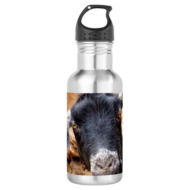 CUTE GOAT 710 ML WATER BOTTLE (Front)