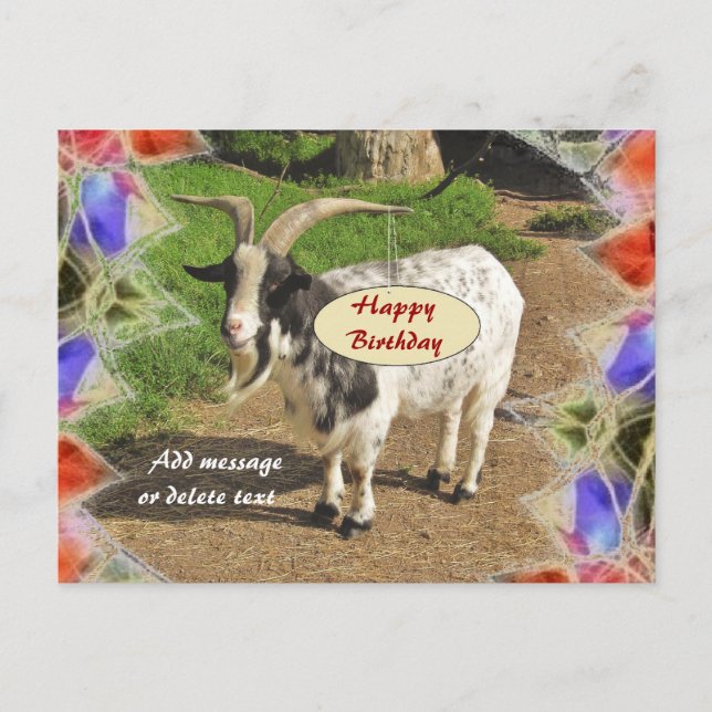 Cute Goat Abstract Frame Happy Birthday Postcard (Front)