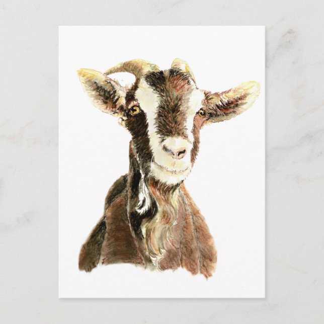 Cute Goat, Animal, Farm Pet Postcard (Front)