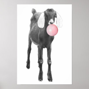 Cute Goat Black White  Bubble Gum Nursery Child Poster