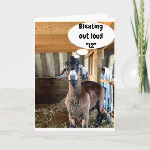CUTE GOAT BLEATS OUT LOUD "12th BIRHDAY WISH" Card