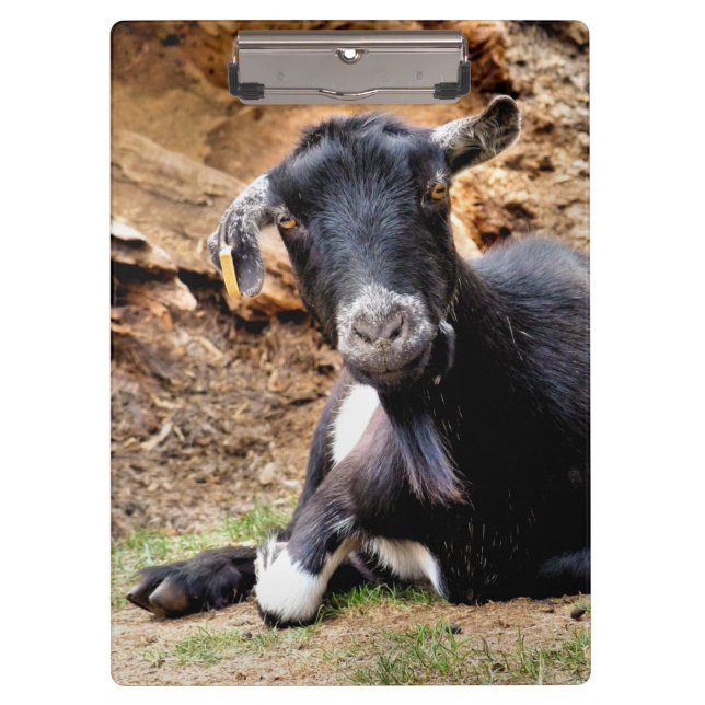 CUTE GOAT CLIPBOARD (Front)