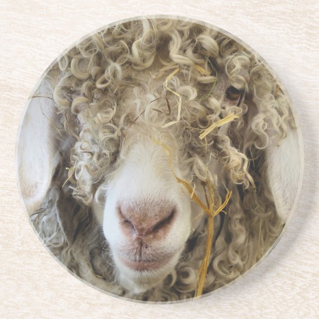 CUTE GOAT   COASTER (Front)