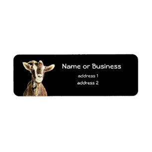 Cute Goat, Farm Animal, Pet