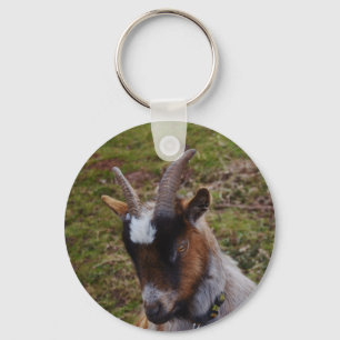 Cute Goat. Key Ring