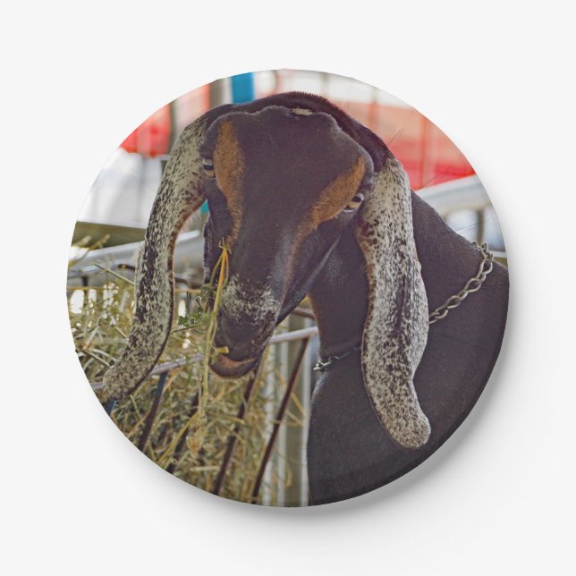 Cute Goat Long Ears Photo Paper Plate (Front)