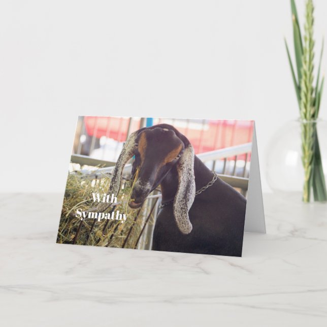 Cute Goat Long Ears Photo Sympathy Card (Front)