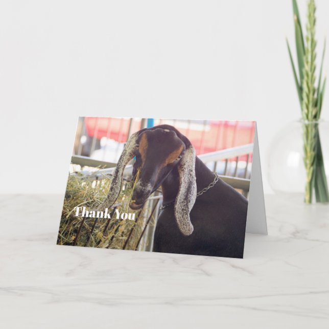 Cute Goat Long Ears Photo Thank You Card (Front)