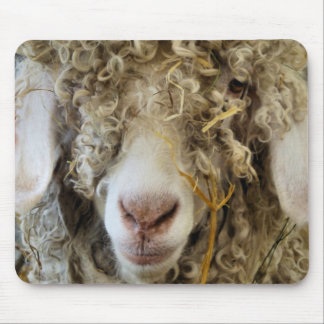 CUTE GOAT    MOUSE MAT