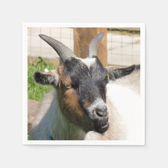CUTE GOAT NAPKIN (Front)