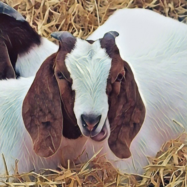 CUTE GOAT NOTEBOOK (An art design of a cute Boer Goat. The breed originating from South Africa.)