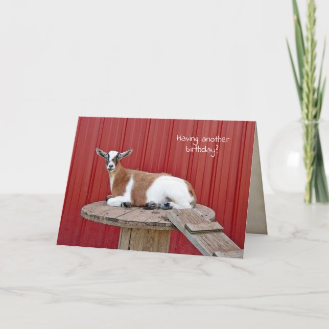 cute goat on spool table birthday card (Front)