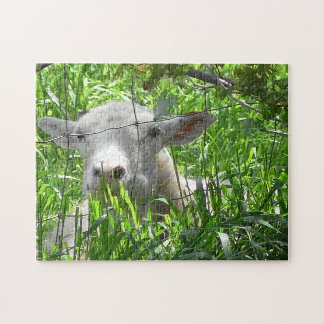 Cute Goat Peeking out of Fence Jigsaw Puzzle (Horizontal)