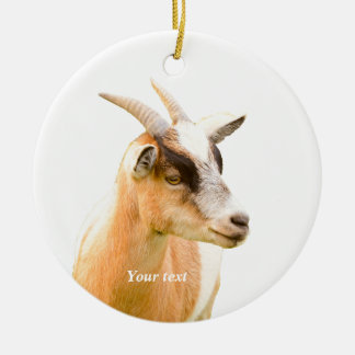 Cute goat portrait photography  ceramic tree decoration