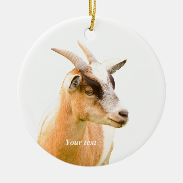 Cute goat portrait photography  ceramic tree decoration (Front)