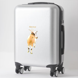 Cute goat standing photography 