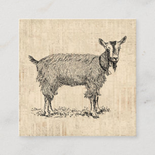 Cute Goat with Bell Illustration Antique Script Enclosure Card