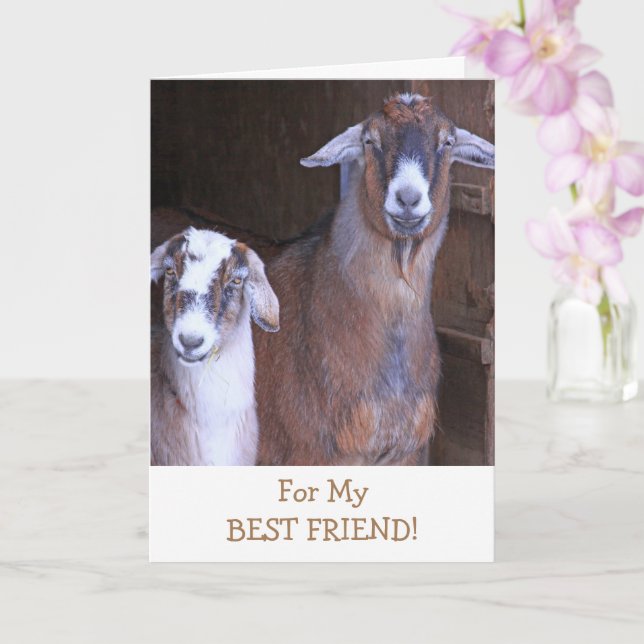Cute Goats Best Friend Birthday Card (Orchid)
