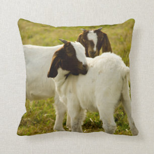 Cute Goats Boer Field Cushion