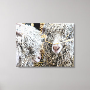 CUTE GOATS  CANVAS PRINT