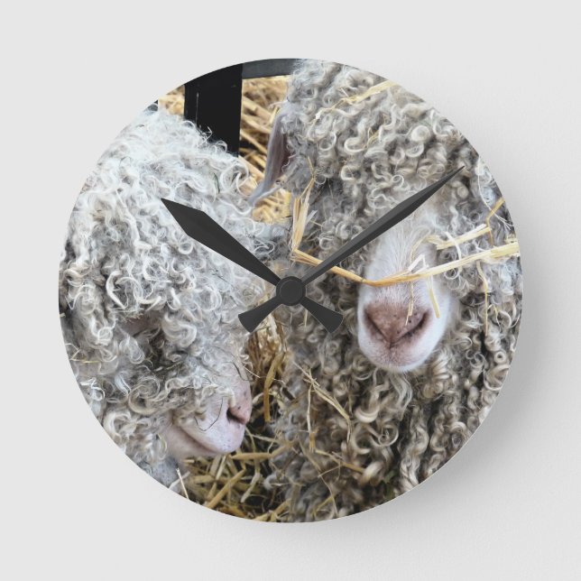 CUTE GOATS   ROUND CLOCK (Front)