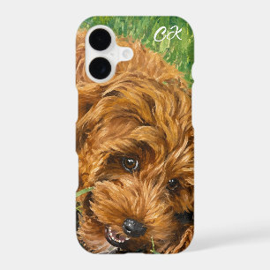 Cute Golden Doodle