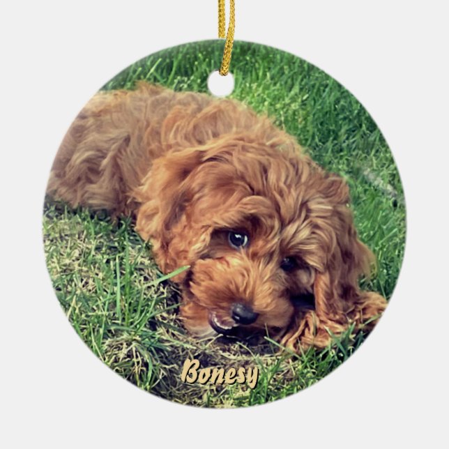 Cute Golden Doodle Ceramic Ornament (Front)