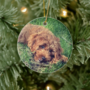 Cute Golden Doodle Ceramic Tree Decoration