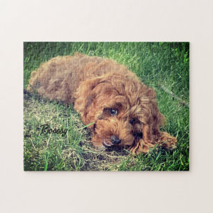 Cute Golden Doodle Jigsaw Puzzle