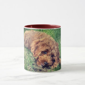 Cute Golden Doodle Mug