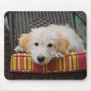 Cute Golden Doodle Puppy Mousepad