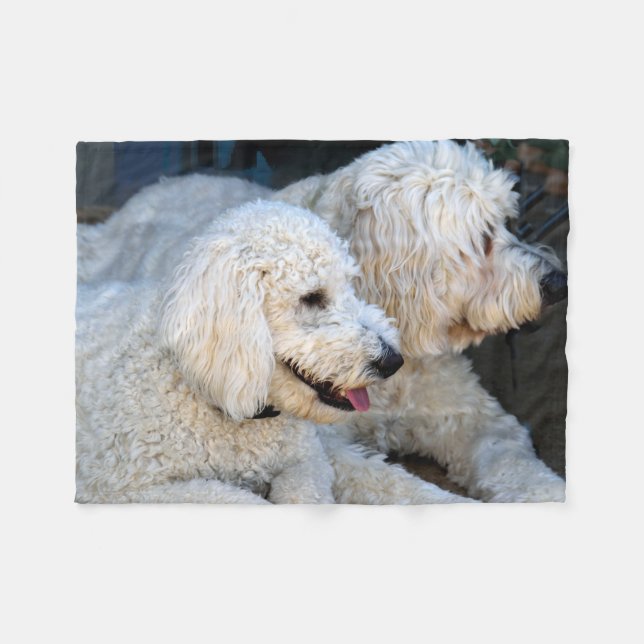 Cute Golden Doodles background Fleece Blanket (Front (Horizontal))