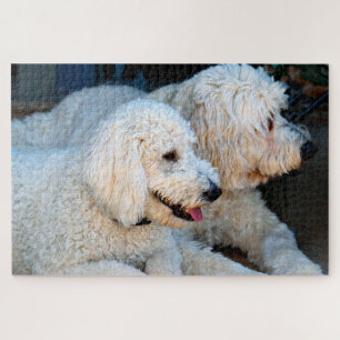 Cute Golden Doodles background  Jigsaw Puzzle