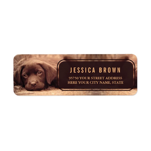 Cute Golden Labrador custom return address label (Front)