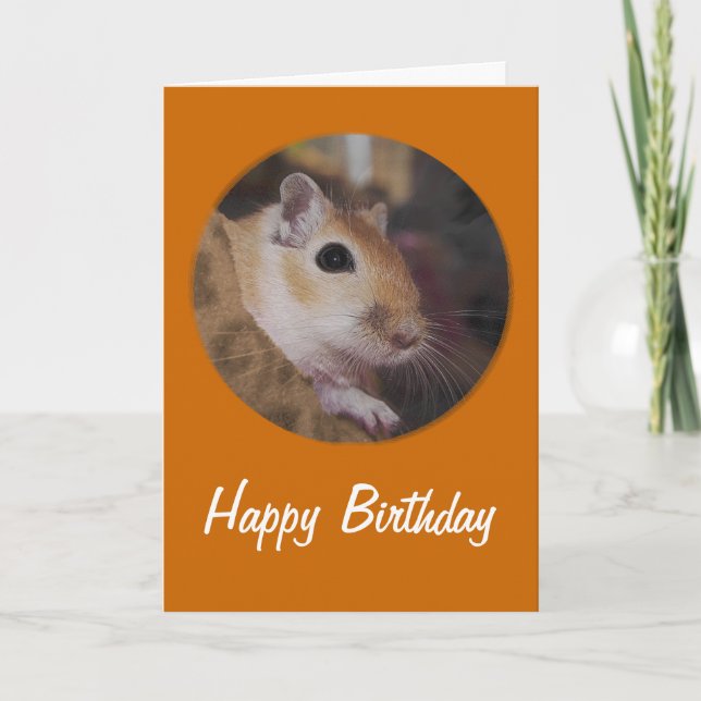 Cute Golden Pet Gerbil Card (Front)