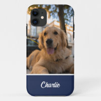 Cute Golden Retriever