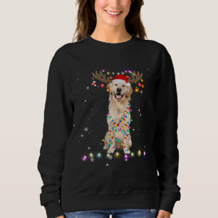 Cute Golden Retriever Christmas Lights Reindeer Sweatshirt