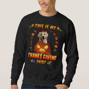 Cute Golden Retriever Dog In Pumpkin Sweatshirt