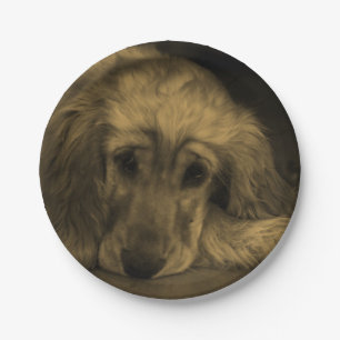 Cute Golden Retriever Dog Laying Down Paper Plate