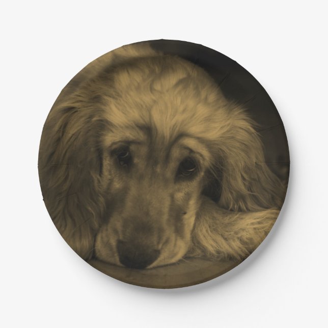 Cute Golden Retriever Dog Laying Down Paper Plate (Front)