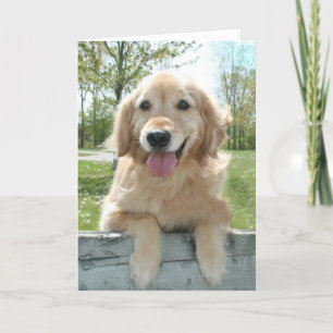 Cute Golden Retriever Dog on Fence Thinking of You Card