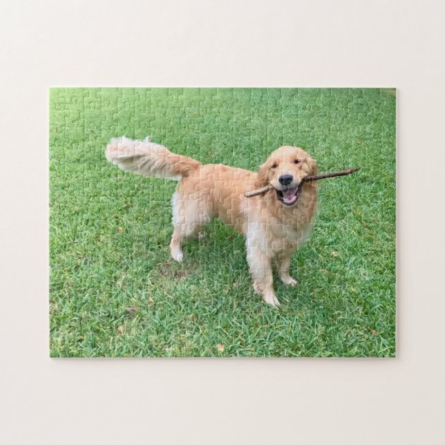 Cute Golden Retriever Dog Photograph Green Nature Jigsaw Puzzle (Horizontal)
